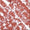 Shade Image for Fax Me!